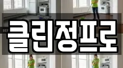 클린정프로