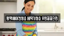 평택에어컨청소 세탁기청소 우먼꼼꼼크린