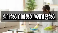 상가청소 이사청소 쓰레기집청소