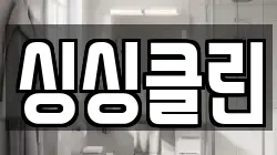 싱싱클린