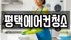 경기도 평택시 세교동 청소,입주청소,사무실청소,에어컨청소,특수청소,상가청소,거주청소,유품정리