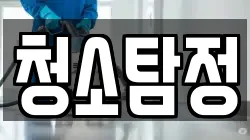 청소탐정