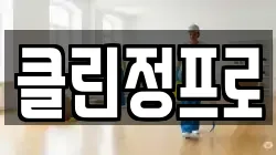 클린정프로