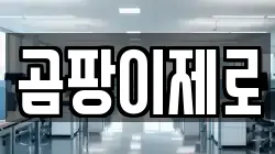 곰팡이제로