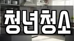 청년청소