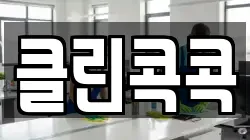 클린콕콕
