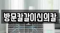 방문칼갈이신의칼