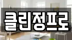 클린정프로
