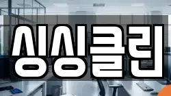 싱싱클린