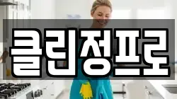 클린정프로
