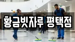 황금빗자루 평택점