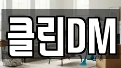 클린DM