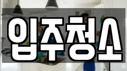 입주청소