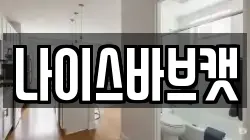 나이스바브캣