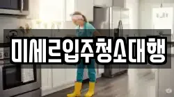 미세르입주청소대행