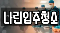 나린입주청소