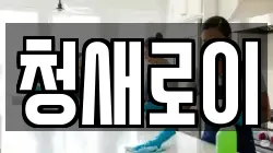 청새로이