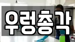 경기도 하남시 풍산동 청소,입주청소,사무실청소,에어컨청소,특수청소,상가청소,거주청소,유품정리