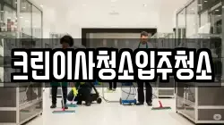 크린이사청소입주청소