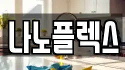 나노플렉스