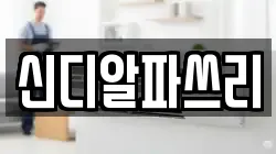 신디알파쓰리