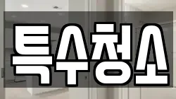 특수청소