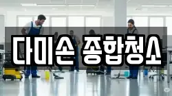 다미손 종합청소
