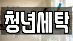청년세탁