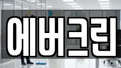 에버크린