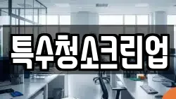 특수청소크린업