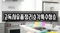 고독사유품정리소각특수청소
