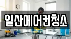 일산에어컨청소