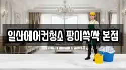 일산에어컨청소 팡이쓱싹 본점
