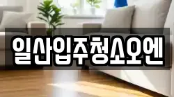 일산입주청소오엔
