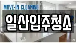 일산입주청소