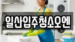 일산입주청소오엔