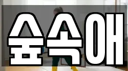 숲속애