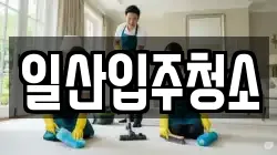 일산입주청소