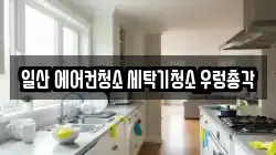 경기 고양시 일산동구 장항동 청소,입주청소,사무실청소,에어컨청소,특수청소,상가청소,거주청소,유품정리