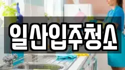일산입주청소