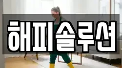 해피솔루션