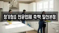 정기청소 전문업체 쓱싹 일산본점