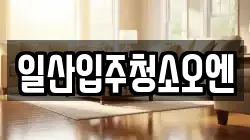 일산입주청소오엔