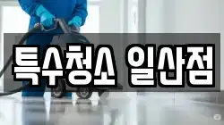 특수청소 일산점