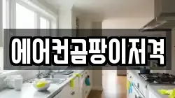 에어컨곰팡이저격
