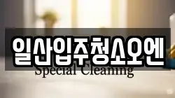 일산입주청소오엔