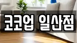 경기 고양시 일산서구 청소,입주청소,사무실청소,에어컨청소,특수청소,상가청소,거주청소,유품정리