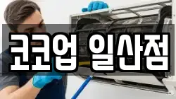 경기 고양시 일산서구 탄현동 청소,입주청소,사무실청소,에어컨청소,특수청소,상가청소,거주청소,유품정리