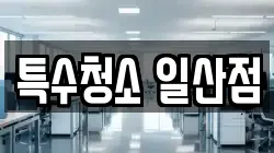특수청소 일산점