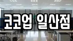 코코업 일산점
